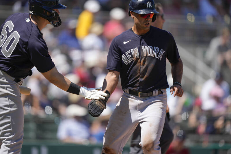 Camisetas Beisbol New York Yankees Baratas